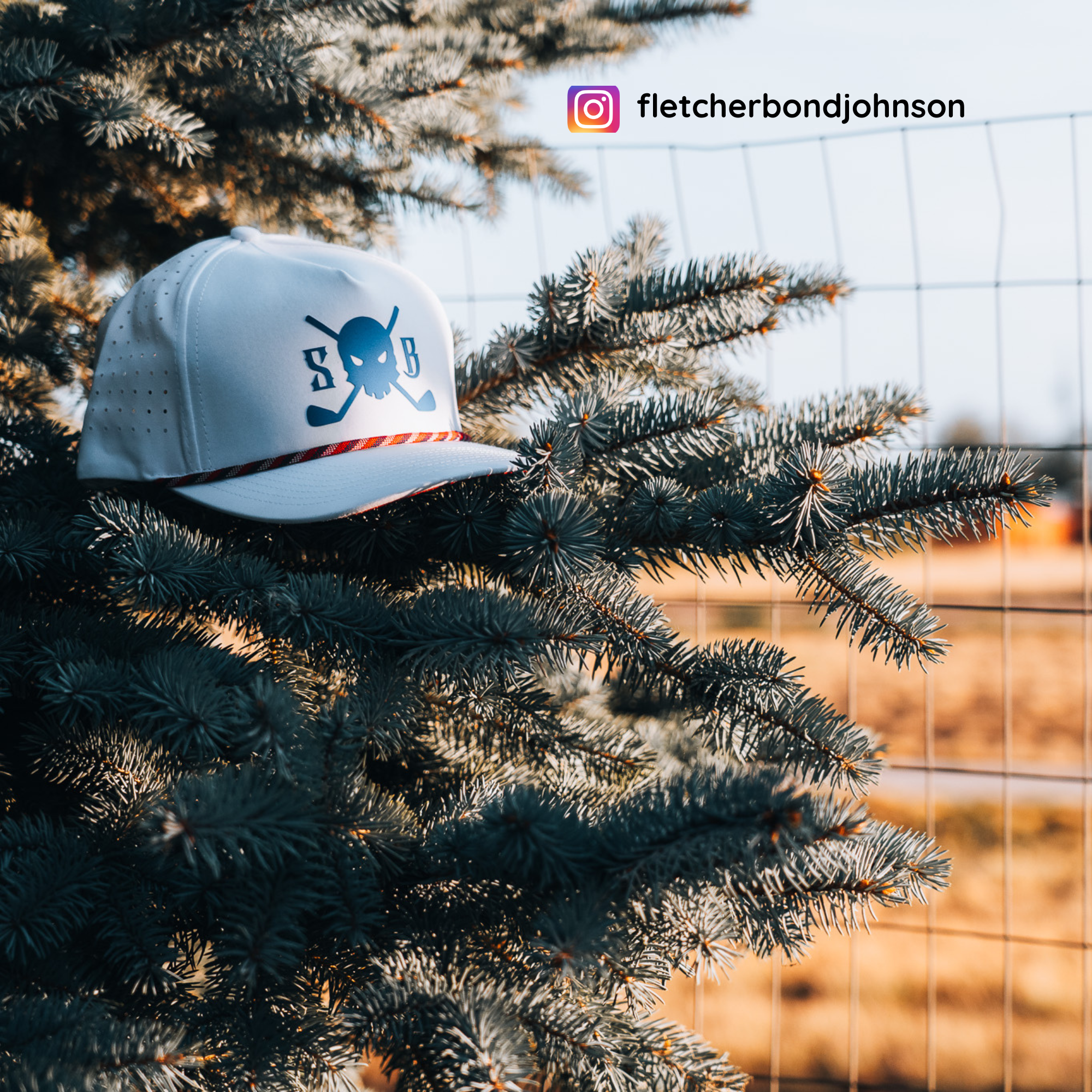 A white baseball cap with a blue skull and crossbones logo and a red-and-white striped brim, resting among the branches of a pine tree outdoors. The background shows a wire fence and dry grass under bright sunlight.